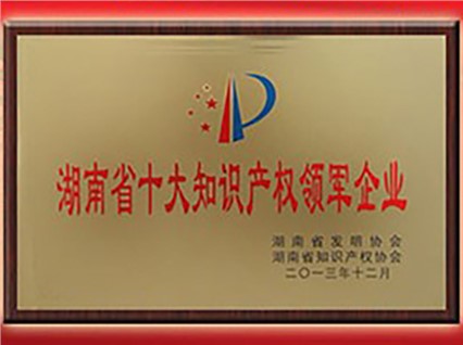 熱烈慶?！跋嫣逗阈馈北辉u為“首屆湖南省十大知識產(chǎn)權(quán)領(lǐng)軍企業(yè)”