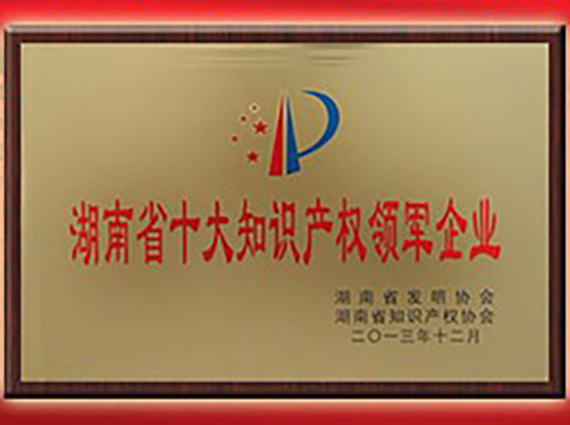 熱烈慶祝&ldquo;湘潭恒欣&rdquo;被評為&ldquo;首屆湖南省十大知識產(chǎn)權(quán)領(lǐng)軍企業(yè)&rdquo;