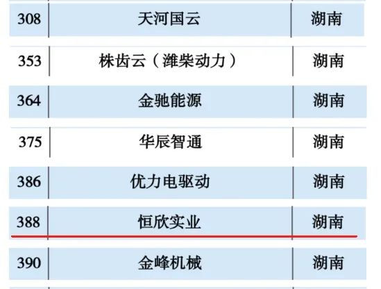 恒欣股份上榜“2024工業(yè)互聯(lián)網(wǎng)500強”